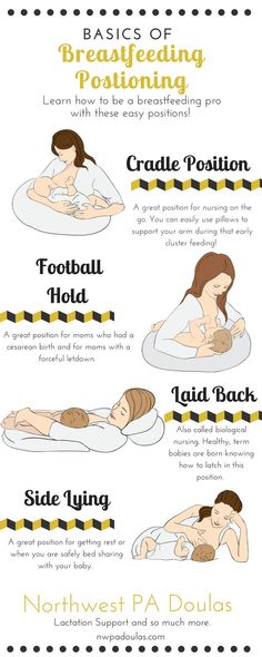 breastfeeding basic guide