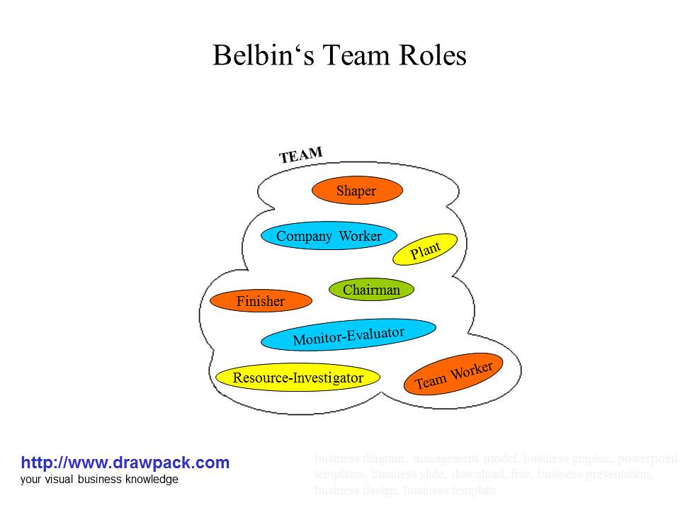 belbin role in a team test online free
