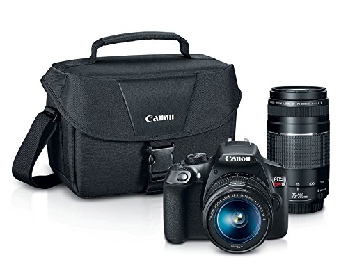 canon camera buying guide